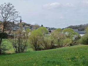 a green field with trees and houses in the background at Ferienwohnung am Brohlbach 