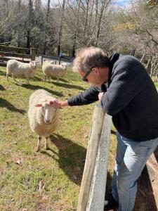 Foto dalla galleria di Paradise Valley River Lodge a Rotorua