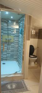 a bathroom with a shower with a toilet and a tub at Location RDC logement T2 meublé in Saint-Avit-Saint-Nazaire