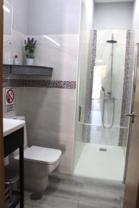 uma casa de banho com um chuveiro, um WC e um lavatório. em Apartamento “Las Cuadras “ em Cádis