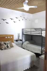 1 dormitorio con 2 literas con pájaros en la pared en Apartamento “Las Cuadras “, en Cádiz