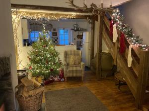 una sala de estar con un árbol de Navidad y luces de Navidad en Lotte’s Cottage, en Bideford