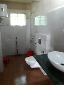 een badkamer met een wastafel en een toilet bij Stream Side Guest House in Mawlynnong