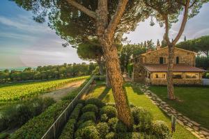 Fotografie z fotogalerie ubytování Fattoria di Magliano Winery v destinaci Magliano in Toscana