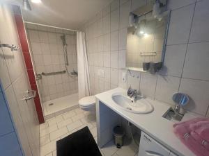 un bagno con lavandino, doccia e WC di Ferien im Westerwald a Quirnbach Altre 3 foto