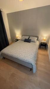 1 dormitorio con 1 cama con 2 lámparas en 2 mesas en Appartement cosy et lumineux accès centre Orléans, en Orléans