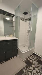 y baño con ducha y lavamanos. en Appartement cosy et lumineux accès centre Orléans, en Orléans