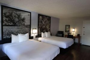 a hotel room with two beds and a painting on the wall at Super 8 by Wyndham Austin South I-35 in Austin