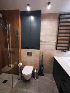 O baie la Leśny Apartament nad Zalewem No.3 +19 fotografii