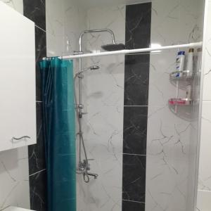 a shower in a bathroom with black and white tiles at Lovely Apartment in City Center in Batumi