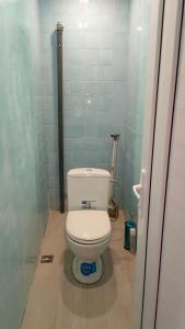 ein Bad mit einem weißen WC in einem Zimmer in der Unterkunft Гостевой дом Гарни in Garni