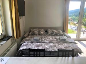 1 cama en un dormitorio con ventana grande en Apartmán U lomu Dolní Morava en Dolní Morava