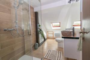 a bathroom with a shower and a toilet at Private & Comfortable Apartments in Puttelange-aux-Lacs +276 photos