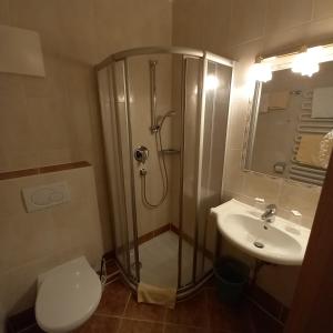 uma casa de banho com um chuveiro, um WC e um lavatório. em Hotel Pension Berghof em Schladming