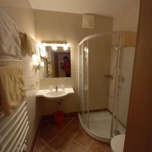 a bathroom with a shower and a sink and a mirror at Hotel Pension Berghof in Schladming