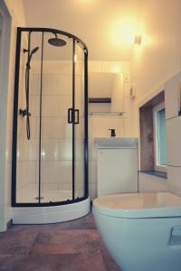 een badkamer met een douche, een bad en een toilet bij Chateau Brulant in Somme-Leuze