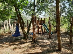 a playground with a slide in the trees at Chateau Brulant in Somme-Leuze