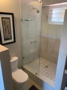 Cape Town的住宿－Home Suite Hout Bay，一间带卫生间和玻璃淋浴间的浴室