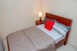 a bedroom with a bed with a red and blue pillow at Broadbills Haven apartment in Kampala