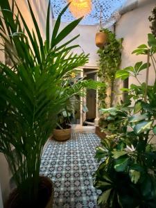 a hallway with potted plants and a tile floor at Appartement Haussmannien rue piétonne Opéra in Marseille