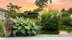 Zahrada ubytování Ikigai B&B - wellness