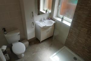 a bathroom with a toilet and a sink and a shower at Plas Bach in Swansea