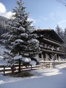 a snow covered pine tree in front of a building at Ferienhaus Höllbacher in Bad Gastein