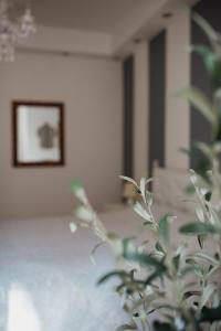 Fotografia z galérie ubytovania L'ulivo e il colibrì v Janove