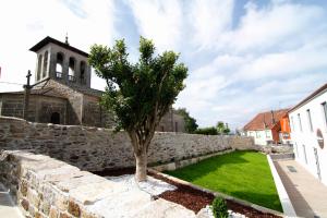 a stone wall with a tree in front of a building at ALBERGUE SAN MARCOS in Palas de Rei  +6 photos