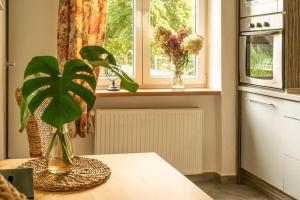 Zdjęcie z galerii obiektu Apartmán Lukas s KRBEM v centru w Karwinie