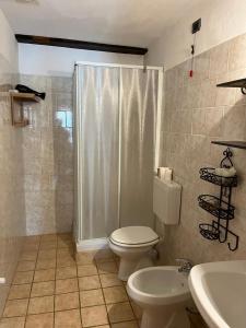 uma casa de banho com um chuveiro, um WC e um lavatório. em Arthemisia em Rhêmes-Notre-Dame