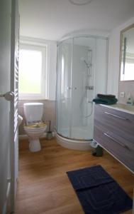 a bathroom with a shower and a toilet and a sink at Ferienwohnung Ravensberg Dachgeschoss in Bad Sachsa