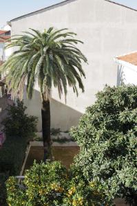 Gallery image of Appartement Cannes rue Marceau in Cannes