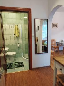 a bathroom with a shower and a toilet and a mirror at Jaskółka in Lądek-Zdrój