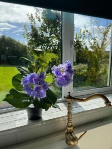 un jarrón de flores púrpuras sentado en un alféizar de la ventana en Butterfly Guesthouse - Entire Home within 5km of Galway City en Galway