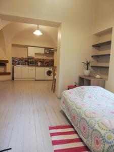 a large room with a bed and a kitchen at Vilnius Collegium Apartment in Vilnius