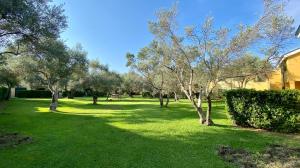 un parque con árboles y césped verde y un edificio en SERENA SWEET HOUSE, en SantʼAndrea Apostolo dello Ionio