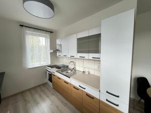 a kitchen with white cabinets and a sink at Moderní apartmán se soukromou vinotékou in Hodkovice nad Mohelkou