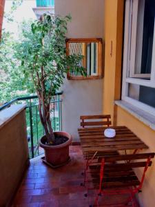 a table and a potted tree on a balcony at RoRo Roma in Rome