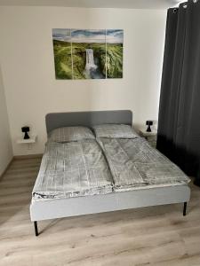 uma cama num quarto com duas pinturas na parede em Moderní apartmán se soukromou vinotékou em Hodkovice nad Mohelkou