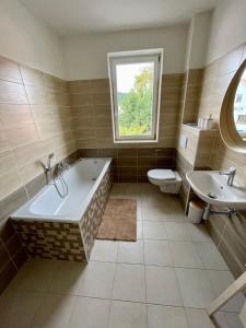 a bathroom with a tub and a toilet and a sink at Moderní apartmán se soukromou vinotékou in Hodkovice nad Mohelkou