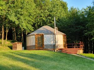 a yurt sitting in the grass in a field at Jurty na Polanie 