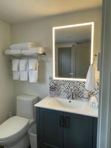 a bathroom with a sink and a toilet and a mirror at Squid Cove Cottage in Pilleyʼs Island