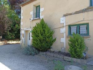 two pine trees in front of a building at la ferme des pres in Neuilly-en-Sancerre