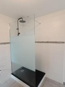 een glazen douche in een badkamer met een lamp bij Ar baradoz in Guiler-sur-Goyen