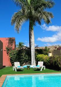 a palm tree and two chairs next to a pool at Villa Lía by SunHousesCanarias in Salobre