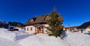 Una casa con un árbol de Navidad en la nieve en Chata Terezka en Kvilda