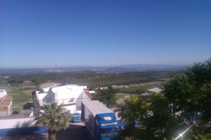 Blick auf ein Gebäude mit Palmen im Vordergrund in der Unterkunft Casa de Larios in Estepa