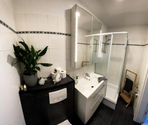 a bathroom with a sink and a mirror at Op'n Dörp Apartment in Barsbek