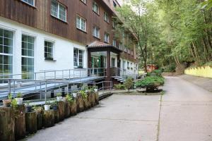 a building with potted plants outside of it at Waldhotel Harz Ilsenburg in Ilsenburg
